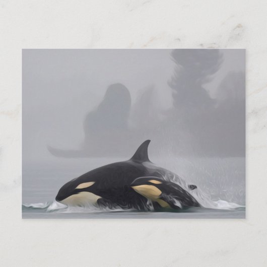Carte Postale Famille Orca (Devant)
