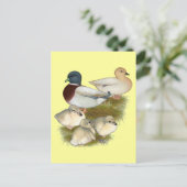 Carte Postale Famille Pastel Call Duck (Debout devant)