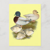 Carte Postale Famille Pastel Call Duck (Devant)