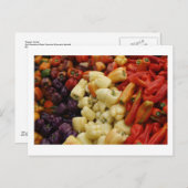 Carte Postale Famille Pepper (Devant / Derrière)