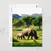 Carte Postale famille rhino (Devant / Derrière)