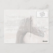 Carte Postale Famille sauvage, Préadressé : Sec de l'intérieur (Dos)