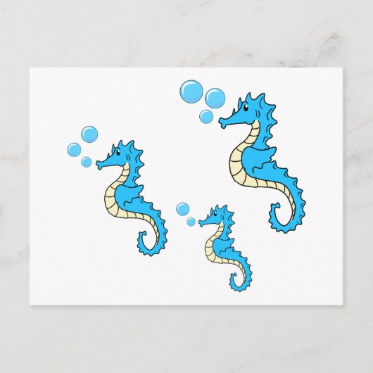 Carte Postale Famille Seahorse (Devant)