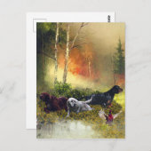 Carte Postale Famille Setters (Devant / Derrière)