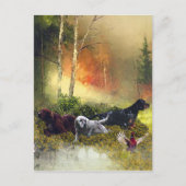 Carte Postale Famille Setters (Devant)