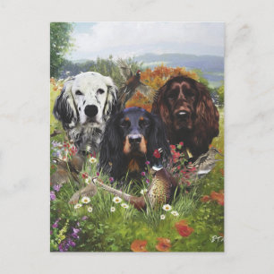 Carte Postale Famille Setters