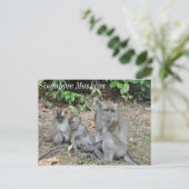 Carte Postale Famille singe de Singapour (Debout devant)