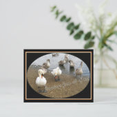Carte Postale Famille Swan (Debout devant)