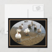 Carte Postale Famille Swan (Devant / Derrière)