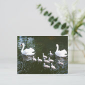 Carte Postale Famille Swan (Debout devant)