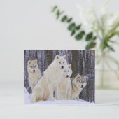 Carte Postale Famille Wolf (Debout devant)