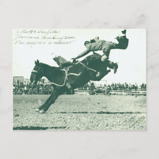 Carte Postale Famous Bucking Bronc Cinq Minutes (Devant)