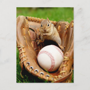 Carte Postale Fan Chipmunk