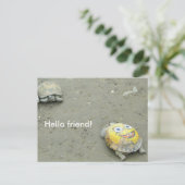 Carte Postale Fan de tortue Bob l'éponge (Debout devant)