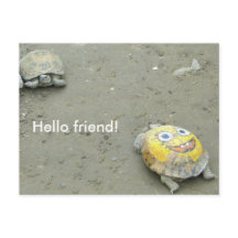 Fan de tortue Bob l'éponge