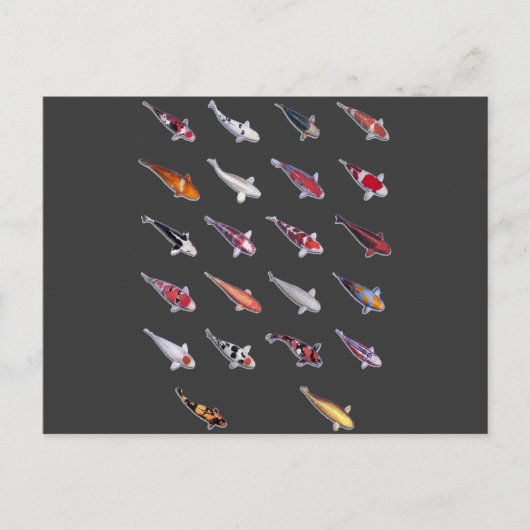 Carte Postale Fanatical à propos de Koi (Devant)