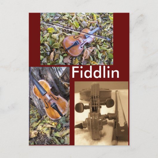 carte postale fanatique fiddlin (Devant)