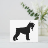 Carte Postale Fancy Giant Schnauzer (Debout devant)
