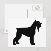 Carte Postale Fancy Giant Schnauzer (Devant / Derrière)