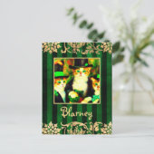 Carte Postale Fancy St Patrick's Day Cats Blarney avec des rayur (Debout devant)