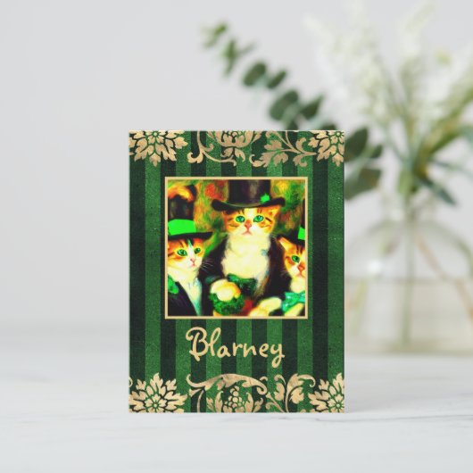 Carte Postale Fancy St Patrick's Day Cats Blarney avec des rayur (Debout devant)