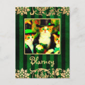 Carte Postale Fancy St Patrick's Day Cats Blarney avec des rayur (Devant)