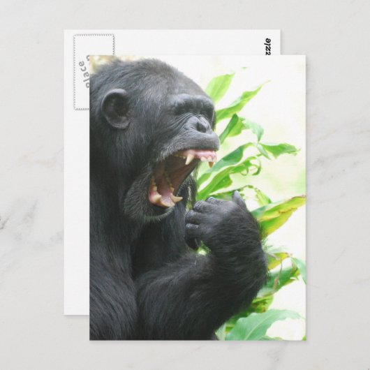 Carte postale Fangs (Devant / Derrière)