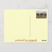 Carte Postale Fantasia, Essaouira, Maroc (Dos)