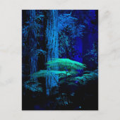 Carte postale fantastique (Devant)