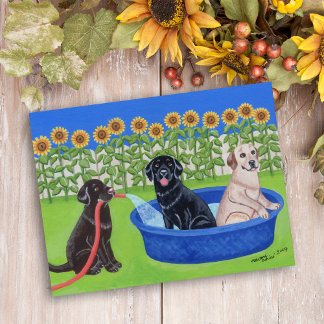 Carte Postale Fantastique Pool Party Labradors