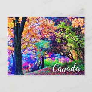 Carte Postale Fantastiques Couleurs Automne Feuilles Arbres Pitt
