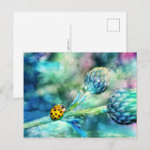 Carte Postale Fantastischer Marienkäfer (Devant / Derrière)