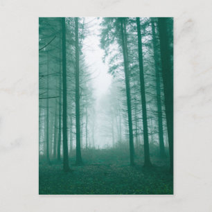 Carte Postale Fantasy forest with fog in Green