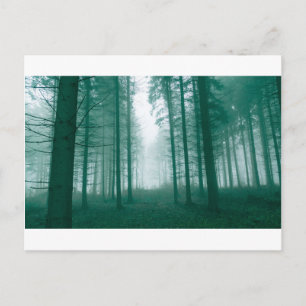 Carte Postale Fantasy forest with fog in Green