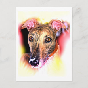 Carte Postale Fantôme d'un chien de lévriers