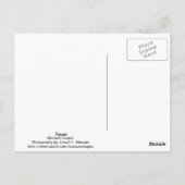 Carte Postale Faon (Dos)