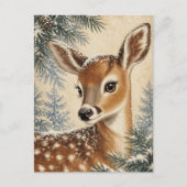 Carte Postale Faon hivernal adorable (Devant)