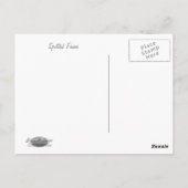 CARTE POSTALE FAON TACHETÉ (Dos)