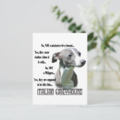Carte Postale FAQ italienne Greyhound (Debout devant)