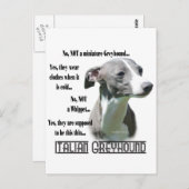 Carte Postale FAQ italienne Greyhound (Devant / Derrière)