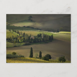 Carte Postale Farmland around Montepulciano, Tuscany, Italy