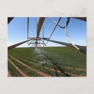 Carte Postale Farmland Postcard
