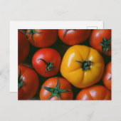 Carte Postale Farms | Shiny Red & Yellow Tomatoes (Devant / Derrière)
