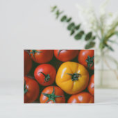 Carte Postale Farms | Shiny Red & Yellow Tomatoes (Debout devant)