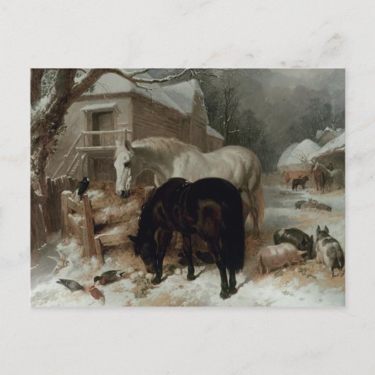 Carte Postale Farmyard (Devant)