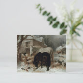 Carte Postale Farmyard (Debout devant)
