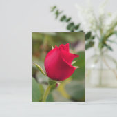 Carte Postale Fascination (Debout devant)