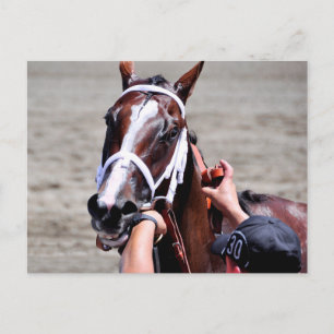 Carte Postale Fashion Alert remporte le Schuylerville