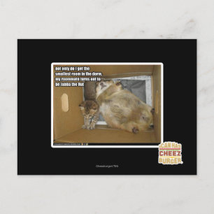 Carte Postale Fat roommate