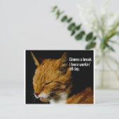 Carte Postale Fatigué Cat Design - "Gimme a break." (Debout devant)